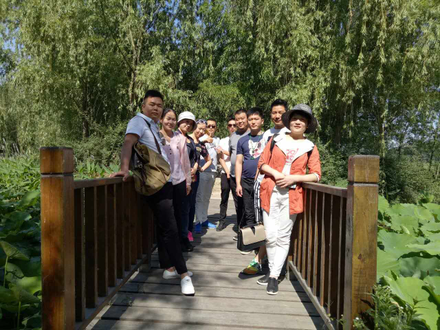 旅行为了更好的出发————记2017年5月25日公司管理层赴台儿庄旅游